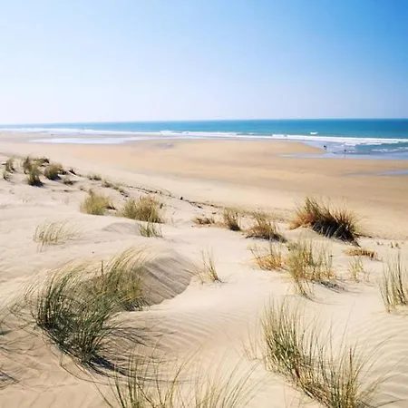 Le Clos De La - Vintage Avec Jardin Prive - 5mn De La - 6 Personnes Dolus-d'Oleron