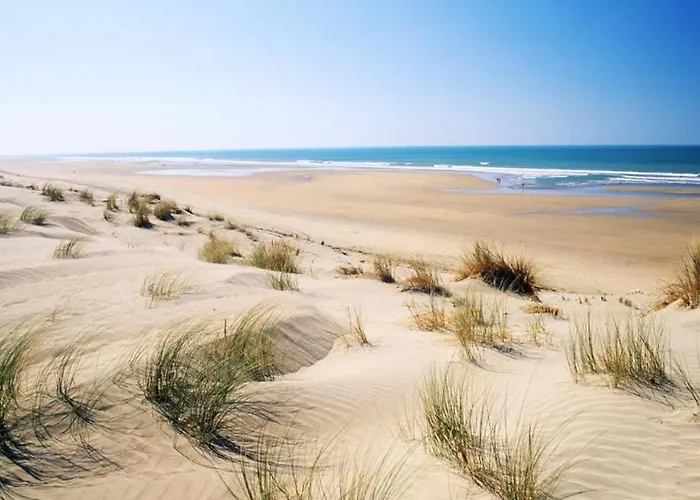 Le Clos De La - Vintage Avec Jardin Prive - 5mn De La - 6 Personnes Dolus d'Oléron